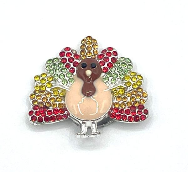 Turkey Needleminder