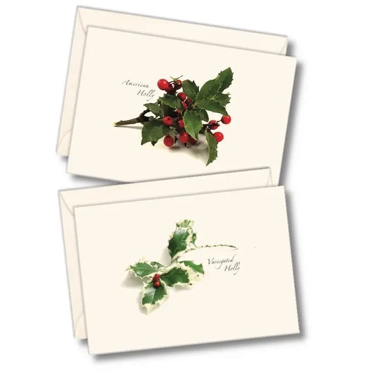 American Holly Assortment